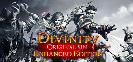 Divinity Original Sin Enchanced Edition